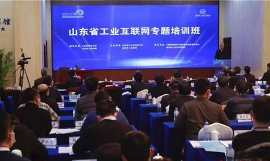 1610501539263145.jpg 1.jpg